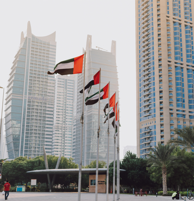 Embassy and Consular Services